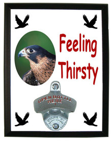 Falcon Feeling Thirsty Bottle Opener Plaque