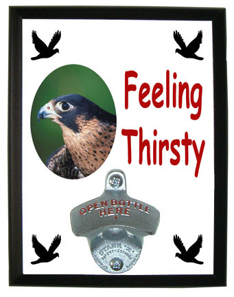 Falcon Feeling Thirsty Bottle Opener Plaque