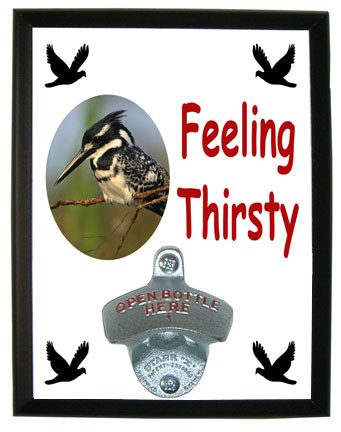 Pied Kingfisher Feeling Thirsty Bottle Opener Plaque
