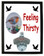 Robin Feeling Thirsty Bottle Opener Plaque