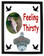 Downey Woodpecker Feeling Thirsty Bottle Opener Plaque