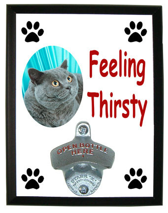 British Shorthair Cat Feeling Thirsty Bottle Opener Plaque