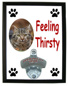 Tabby Cat Feeling Thirsty Bottle Opener Plaque