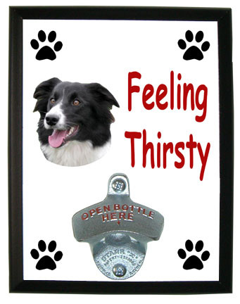 Border Collie Feeling Thirsty Bottle Opener Plaque