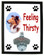 Collie Feeling Thirsty Bottle Opener Plaque