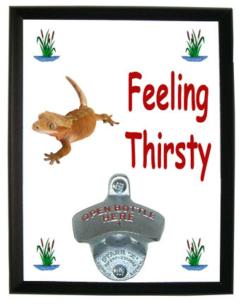 Gecko Feeling Thirsty Bottle Opener Plaque
