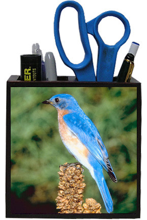 Bluebird Wooden Pencil Holder