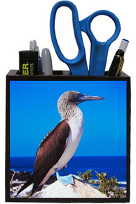 Blue Footed Booby Wooden Pencil Holder