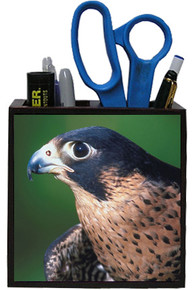 Falcon Wooden Pencil Holder