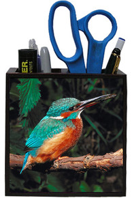 Kingfisher Wooden Pencil Holder