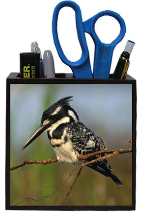 Pied Kingfisher Wooden Pencil Holder