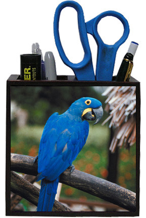 Macaw Wooden Pencil Holder