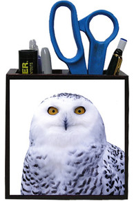 White Owl Wooden Pencil Holder