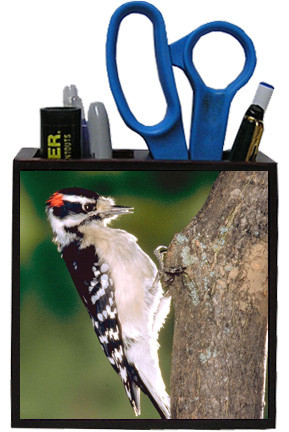 Downey Woodpecker Wooden Pencil Holder
