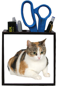 Calico Cat Wooden Pencil Holder