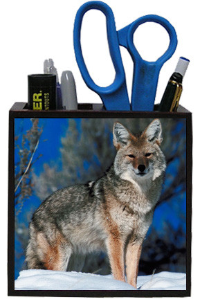 Coyote Wooden Pencil Holder