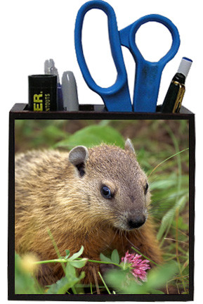 Groundhog Wooden Pencil Holder