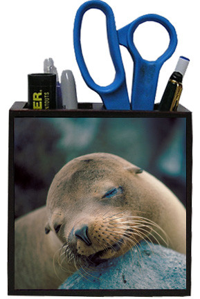 Sea Lion Wooden Pencil Holder