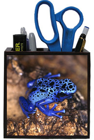 Blue Frog Wooden Pencil Holder
