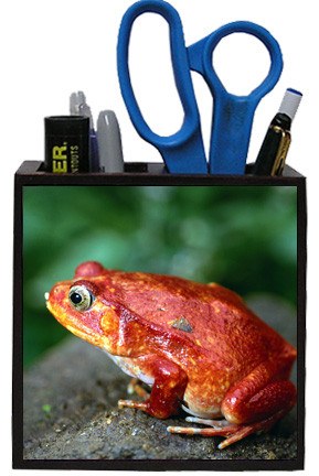 Tomato Frog Wooden Pencil Holder