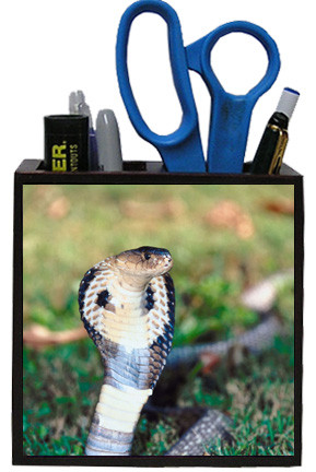 Cobra Snake Wooden Pencil Holder