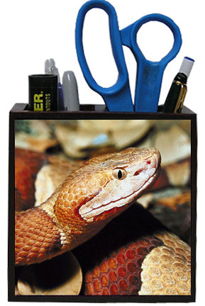 Copperhead Snake Wooden Pencil Holder