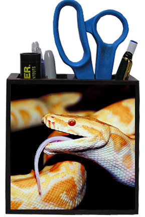 Python Snake Wooden Pencil Holder
