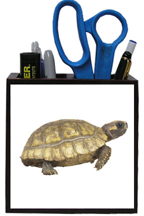 Turtle Wooden Pencil Holder