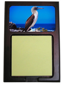 Blue Footed Booby Wooden Sticky Note Holder