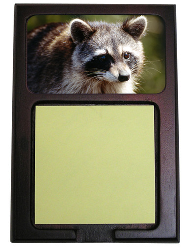 Raccoon Wooden Sticky Note Holder