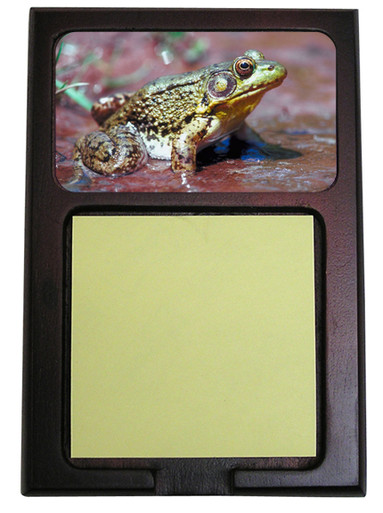 Green Frog Wooden Sticky Note Holder