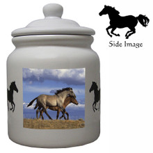 Horse Ceramic Color Cookie Jar