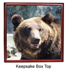 Bear Keepsake Box