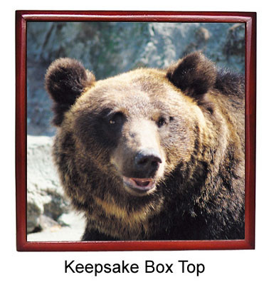 Bear Keepsake Box
