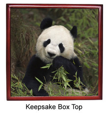 Panda Bear Keepsake Box