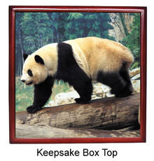 Panda Bear Keepsake Box