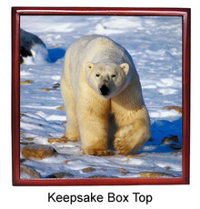 Polar Bear Keepsake Box