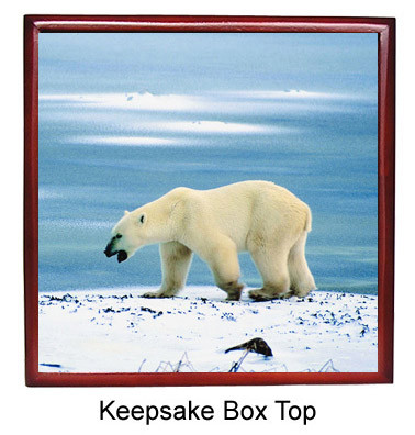 Polar Bear Keepsake Box