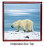 Polar Bear Keepsake Box