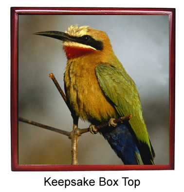 Bee Eater Keepsake Box