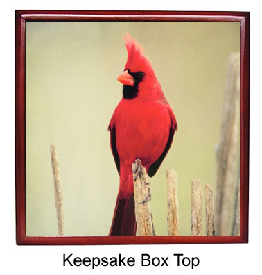 Cardinal Keepsake Box