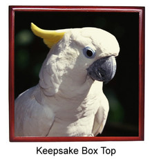 Cockatoo Keepsake Box