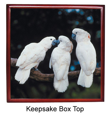 Cockatoo Keepsake Box