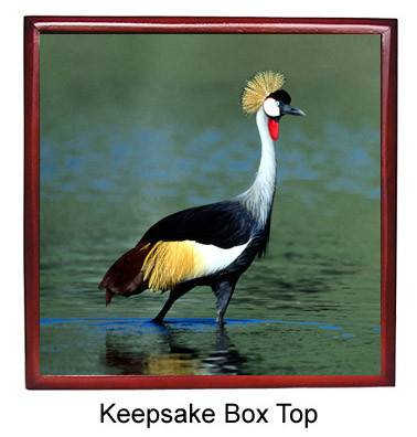 Crowned Crane Keepsake Box