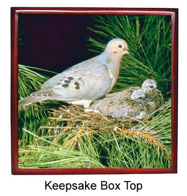 Dove Keepsake Box