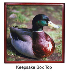 Duck Keepsake Box