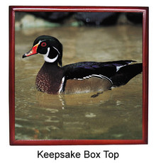 Duck Keepsake Box