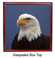 Eagle Keepsake Box