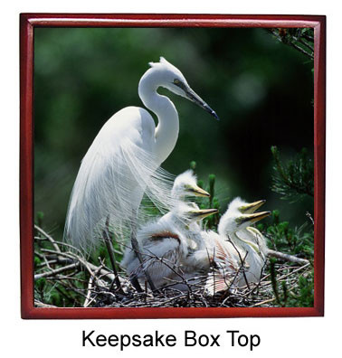 Egret Keepsake Box