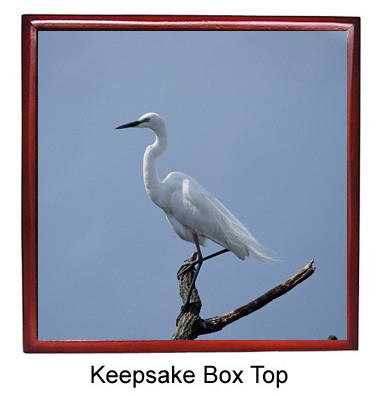 Egret Keepsake Box
